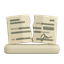 Bad Check (Bounced / Returned)